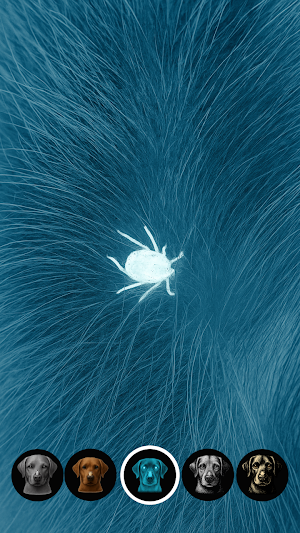 Tick Detector: Pet Tick Scan Screenshot 0