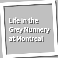 Book, Life in the Grey Nunnery
