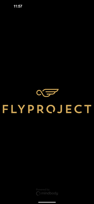 FLYPROJECT Screenshot 0