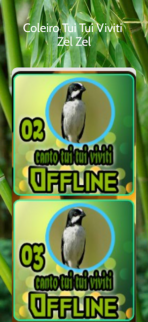 Coleiro Tui Tui Viviti Zel Zel Screenshot 2