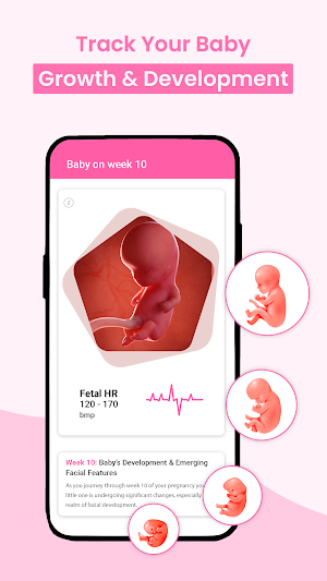 BumpTrack Pregnancy Calculator Screenshot 2
