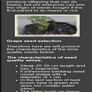 successful way of cultivating grapes Screenshot 0