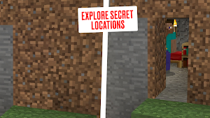 Camouflage Doors for Minecraft Screenshot 3