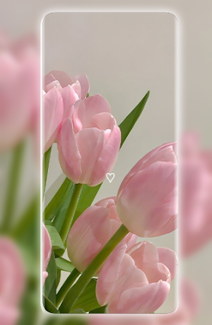 Pink Aesthetic Wallpaper Screenshot 0