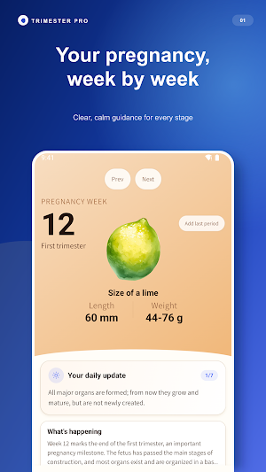 Trimester Pro: Pregnancy App Screenshot 0