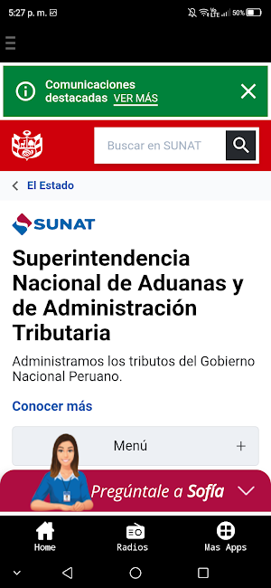 Consulta Pe Screenshot 2