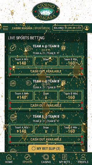 Niagara Casino Screenshot 2