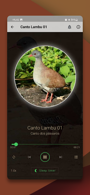 Som de Canto Lambu Screenshot 2