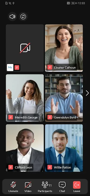 IPVoice Meetings Screenshot 2