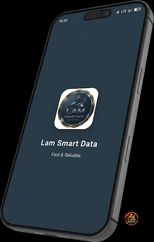 LAM SMART DATA Screenshot 0