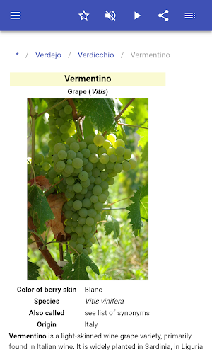 Grape varieties Screenshot 2