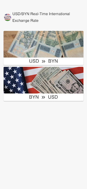 USD to BYN Screenshot 0