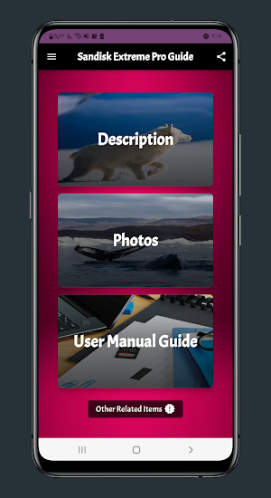 sandisk extreme pro guide Screenshot 0