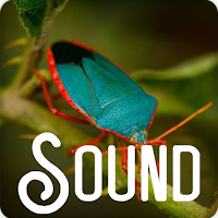 Insect Soundboard Ringtones