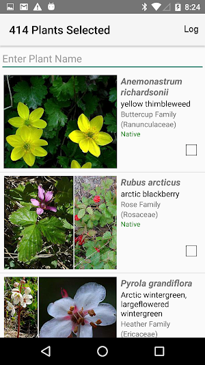 Nunavut Wildflowers Screenshot 2