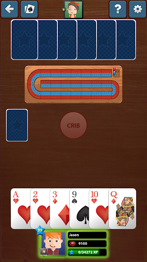 Cribbage Star Screenshot 0