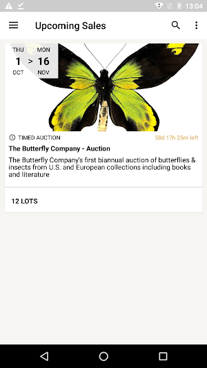 The Butterfly Company Auction Screenshot 0