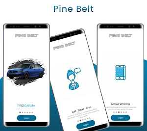 Pine Belt Auto Care Screenshot 0