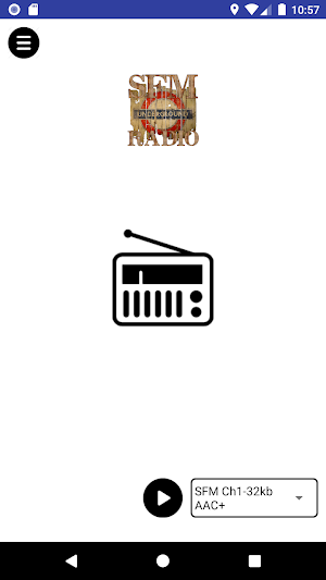 SFM Radio Screenshot 2