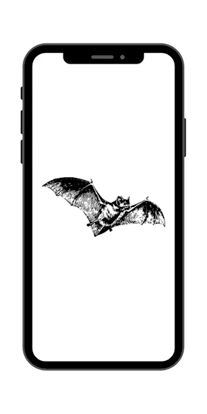 Kelelawar Wallpaper24 Screenshot 0