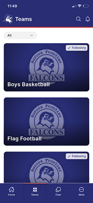 Aurora Frontier Falcons Screenshot 1