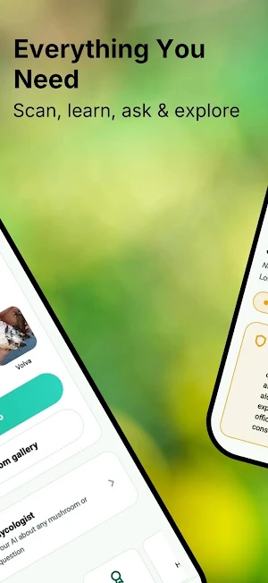 Mushroom Identifier - AI Scan Screenshot 1