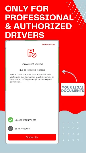 SwissRyde Driver Screenshot 3