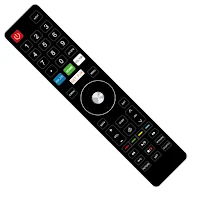 Punktal TV Remote