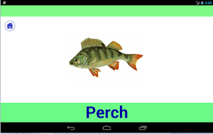 Animals world for kids Screenshot 1