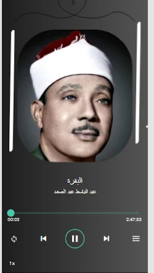عبد الباسط عبد الصمد|بدون نت Screenshot 0