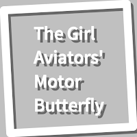 Book, The Girl Aviators' Motor Butterfly