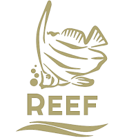 EgyReef Smart