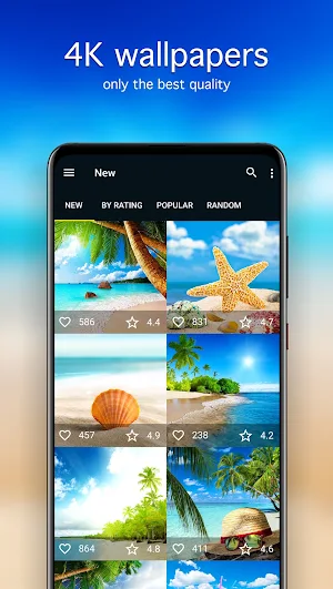 Beach Wallpapers PRO Screenshot 0