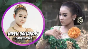 Lagu campur sari jawa timur Screenshot 1