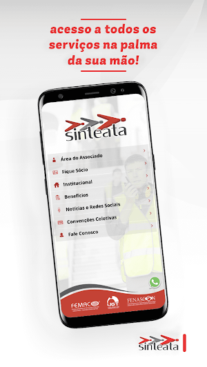 Sinteata Screenshot 2