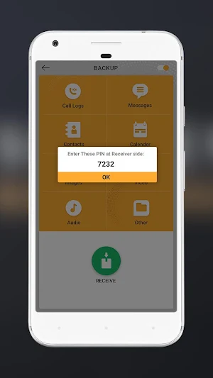 Smart Data Transfer Screenshot 3