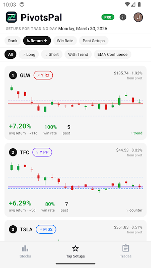 PivotsPal Screenshot 1