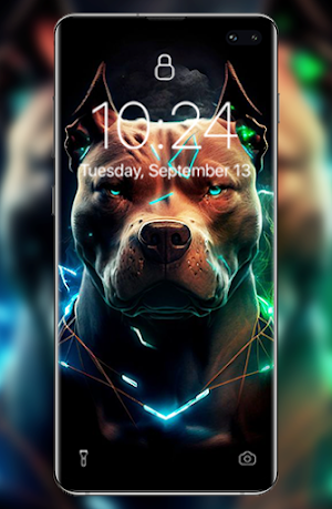 Pitbull wallpapers Screenshot 2