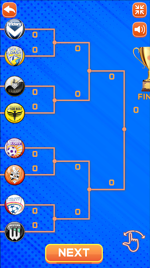 A-League Soccer Screenshot 2