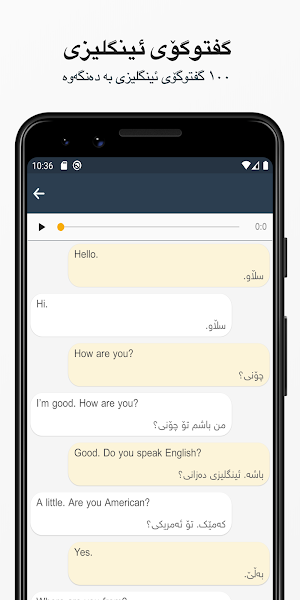 Rebin Dictionary Plus - Kurdish Screenshot 3