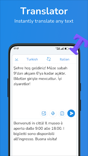 Turkish-Italian translator Screenshot 0