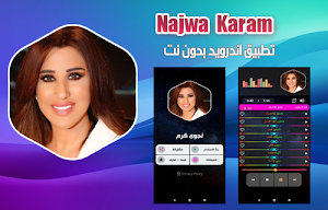 نجوى كرم 2020 بدون نت | najwa karam Screenshot 0