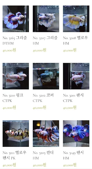 현베타 - 그 이상의 가치 Screenshot 3