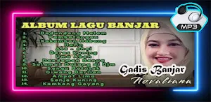 Dangdut Pop Banjarmasin Offlin Screenshot 0