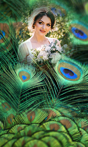 Feather Photo Frames Screenshot 2