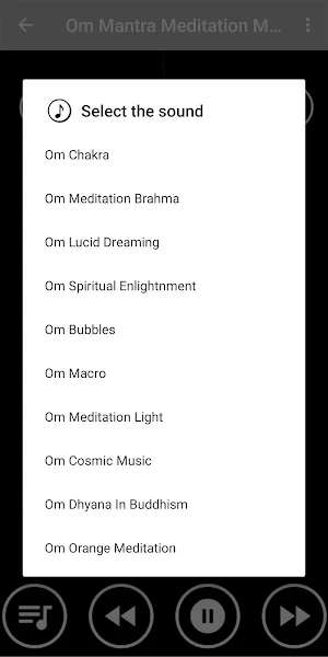 Om Meditation Music : Ensures Sound Sleep Screenshot 1