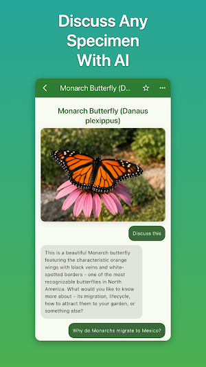 Caterpillar & Butterfly ID Screenshot 2