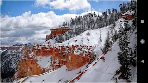HD Snow Wallpapers Screenshot 1