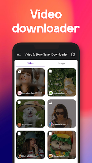 Video & Story Saver Downloader Screenshot 3