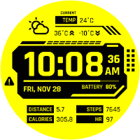 CELEST5598 Cyber Watch